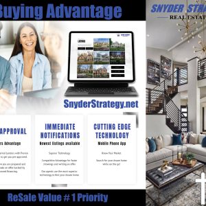 Snyder Strategy Trifold Brochure